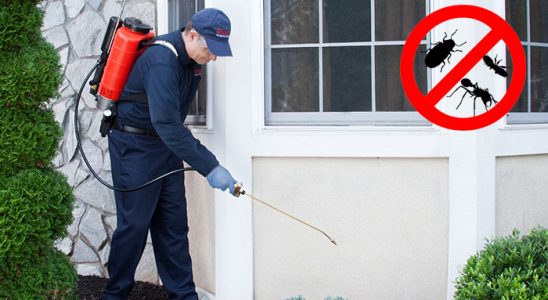 Kozaklı Böcek İlaçlama böcek ilaçlama ve haşere kontrolü — ilaclama-tr.com